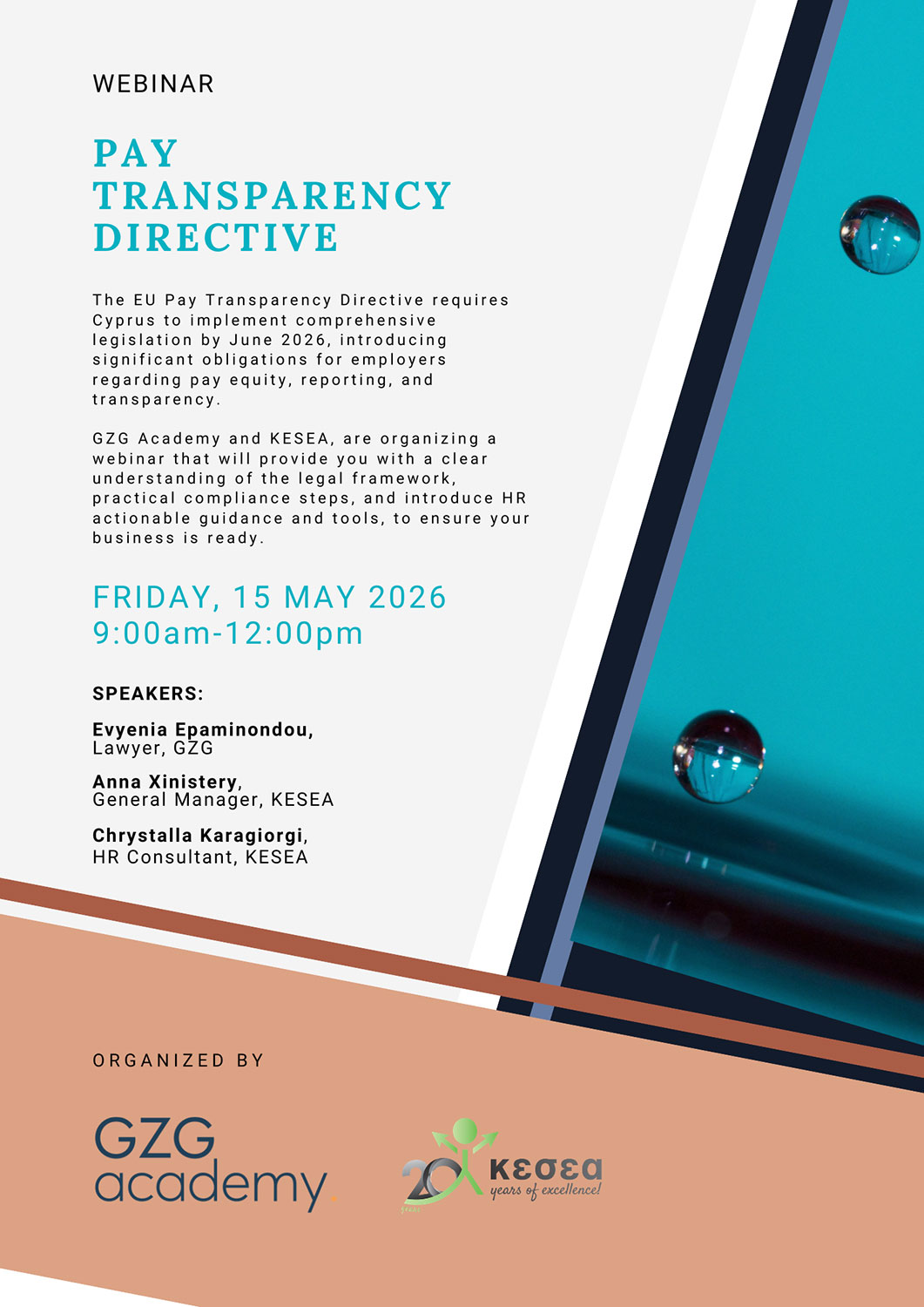 Pay Transparency Directive Webinar